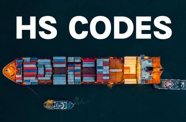 Hướng Dẫn Chi Tiết Cách Phân Loại Mã HS Code Và 5 Sơ Xuất Dễ Bị Hải Quan Truy Thu Thuế